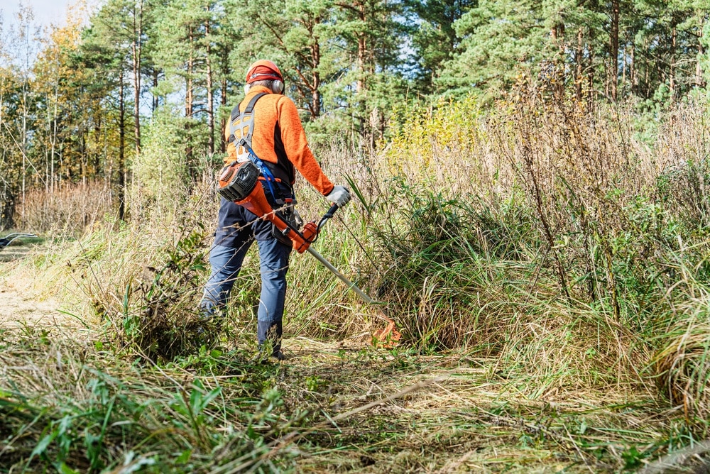 Débroussaillage de Terrain : Entretien des Espaces Verts Travailleur utilisant une débroussailleuse pour faucher des herbes hautes en forêt.